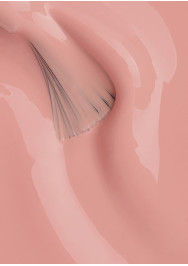 Hard BIAB™ - The Collection TPO & Hema-Free