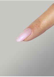 The Energy Collection